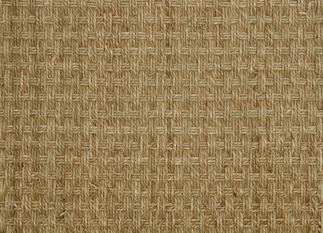 Seagrass